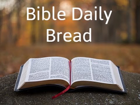 Bible Verses || Psalms  12:5-7 English ||Bible Quotes || V One Creations  || Joel