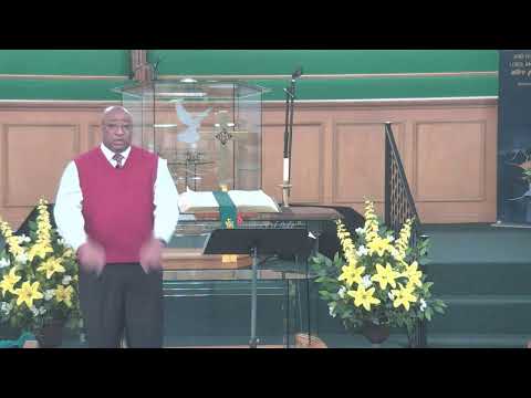 The Significance of the Insignificant | Luke 18:15–19:10