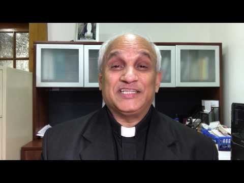 14th Sunday: Year A - Zachariah 9:9-10; Matthew 11:25-30