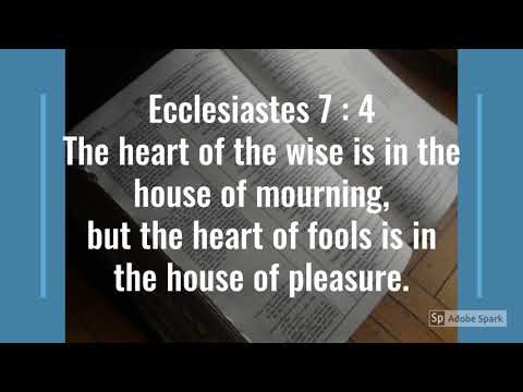 Bible Verse (Ecclesiastes 7: 4-6)