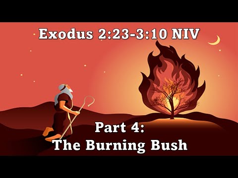 Exodus 2:23-3:10 NIV