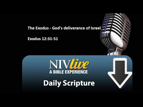 35 The Exodus - God's deliverance of Israel Exodus 12:31-51