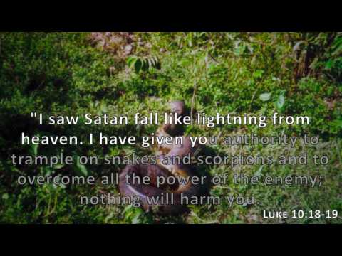 Luke 10:18-19, Holy Bible, NIV