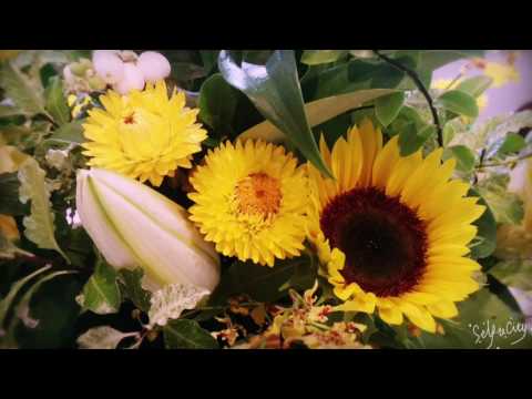 Holy Holy Holy Lord God Almighty (Revelation 4:8)