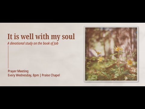 God's Care for Birds - Job 39:13-18