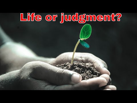 Life or judgment? July 26 John 12: 47-50