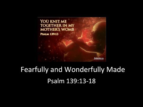 Fearfully and Wonderfully Made (Psalm 139:13-18)
