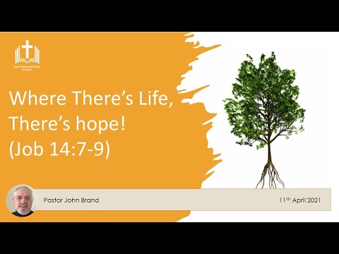 Where There's Life, There's Hope.  (Job 14:7-9)