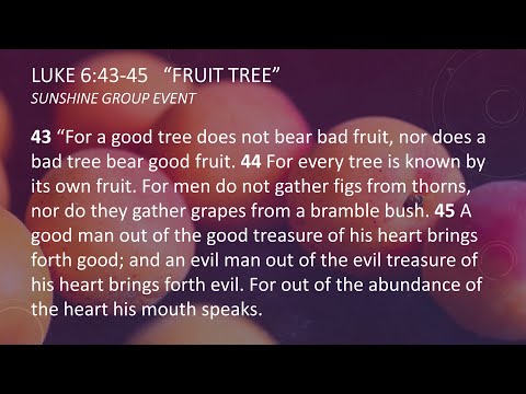 Fruit Tree | Luke 6:43-45 | Sunshine Group Event