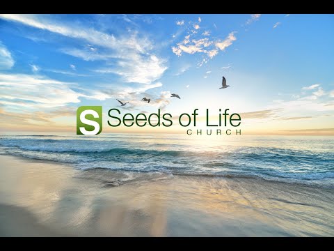 Return to the Lord | 1 Samuel 30:1-6 | Kyle Shimazaki