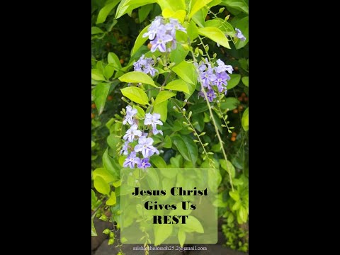 Jesus Christ Gives Us REST in Genesis 33:14 and Matthew 11:28 #JesusChristGivesUsREST