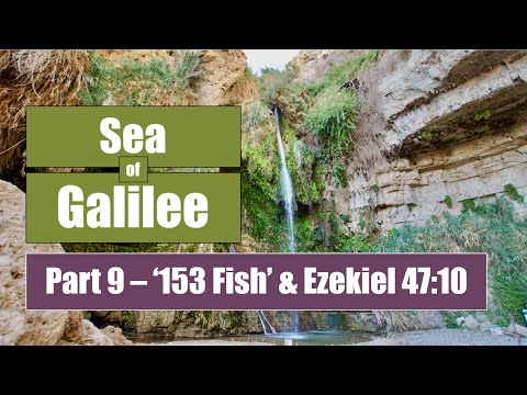 153 Fish and Ezekiel 47:10 - Sea of Galilee (pt 9)
