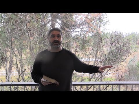 Eternal Security #1: 'Whosoever Shall Deny Me Before Men' (Matthew 10:32-33)