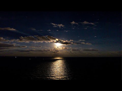 Seek to Know.  John 2:18