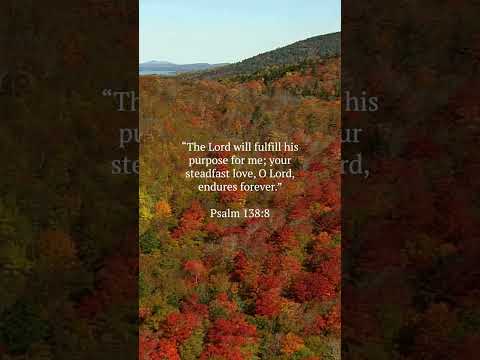 Your Pain Isn’t Pointless