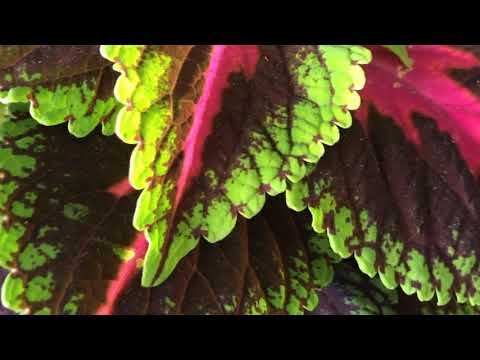 The Wonders of Jehovah. 2 Chronicles 32:31-33. Bible Study 4