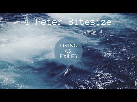 Day 14 'Purified' 1 Peter 1:18-22