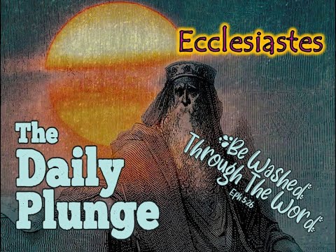 (Ecclesiastes 2:16–26) Nihilistic Striving Misfortune