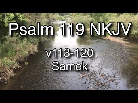 Scripture Song: Psalm 119:113-120 - You are my hiding place and my shield
