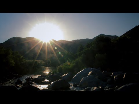 In Deed And In Truth - 1 John 3:10-18