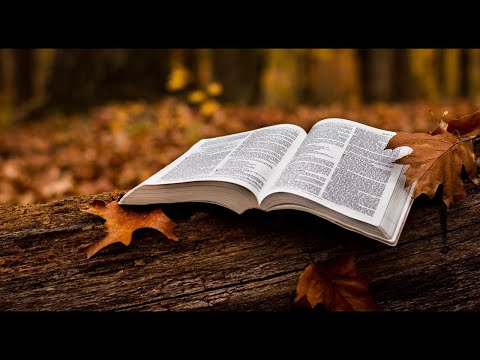 Sunday - December 19, 2021 - Jonah 1:17-2:9