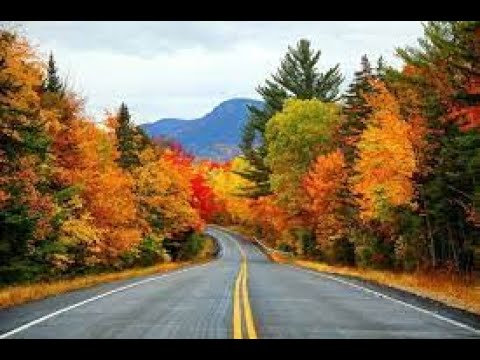 Let's Pray - Scripture from the Lord & Prayer- Psalm 38:10-12