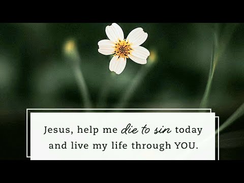 Early morning prayer requests/devotions! Scripture of the day: Exodus 12:5-13 Life By Death! ????????