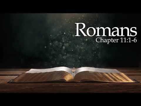 Verse by Verse - Romans 11:1-6
