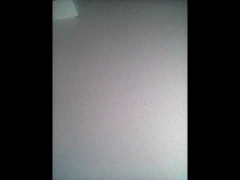 Exodus 19:16-25-God's Covenant with Israel!!