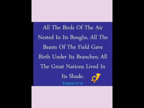 Ezekiel 31 : 6