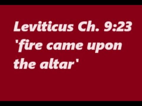 117 Scripture Verses- 16th Reading: Leviticus 9:23