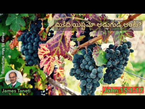 మికేది యిష్టమో అడుగుడి అంటే? John 15:1-17/Telugu Christian Sermons