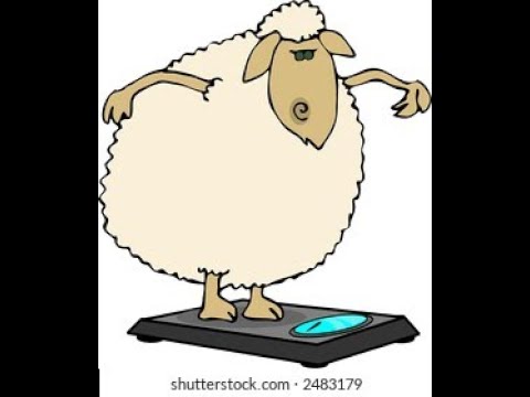 The liberal soul shall be made FAT! (Proverbs 11:25)