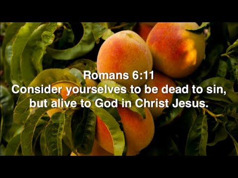 Romans 6:11 (Command)
