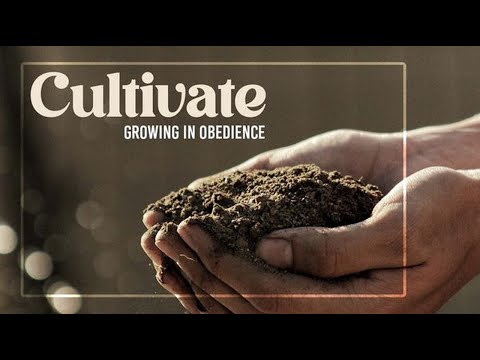 Cultivate: Growing in Obedience - Devotion (Titus 3:1-11)