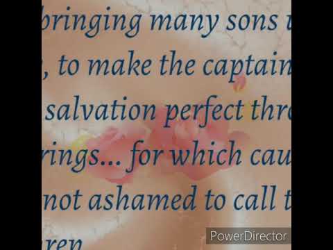 Our Captain.. Hebrews 2:10-11