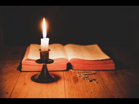 DEVOTIONAL A Proverb A Day Proverbs 26:17 ONCE BITTEN TWICE SHY