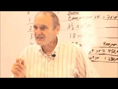 Insects in the Biblical Hebrew of Genesis 1:20 - Gerald Schroeder