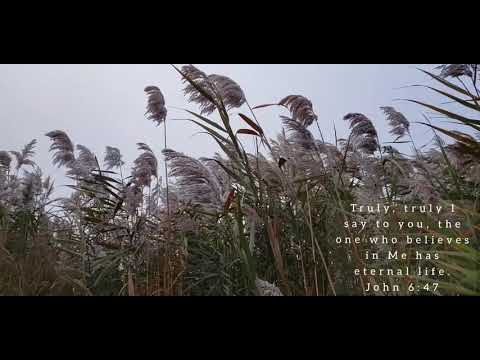 John 6:47(Truly, truly I say to you, the one who believes in Me has eternal life)