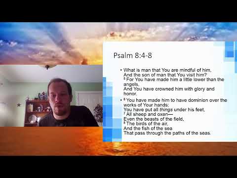 Psalm 8:4-8