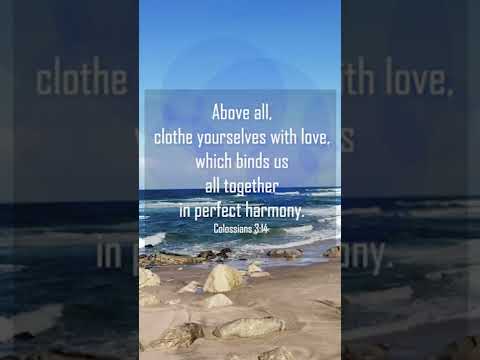 A reading of Colossians 3:14-15 from the New Living Translation