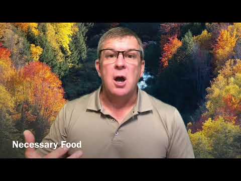 The reward of the word - Proverbs 13:13