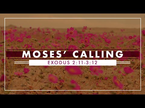 Moses' Calling | Exodus 2:11- 3: 12