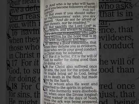 Start your day with "Good Morning Scripture!" ???? ☕️ [1 Peter 3:14-17]