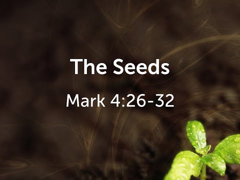 Mark 4:26-32 (The Seeds)