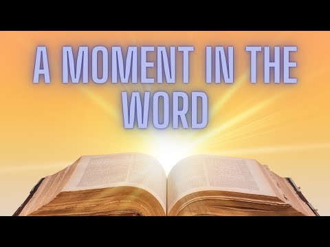 Watch Your Heart: Proverbs 4:20-27