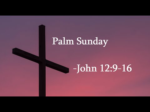 04-10-22 - Palm Sunday - John 12:9-16