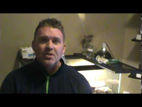 What are the greater works that Jesus speaks of?  John 14:12-14