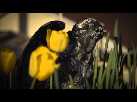 FLBC Daily Devotion Psalm 31:23