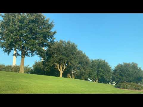 Get Rid of the Grubs (Proverbs 3:19-26)